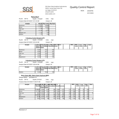 Hydrogen Water Bottle