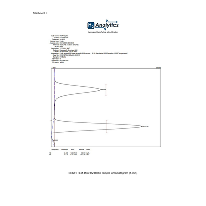 Hydrogen Water Bottle