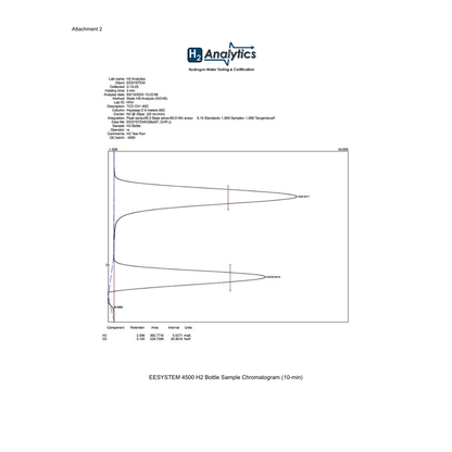 Hydrogen Water Bottle