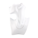 EEMedallion Necklace silver chain holding interchangeable bio-scalar medallions